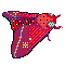 06 red pixel moth