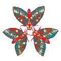 08 three pixel moth chatting