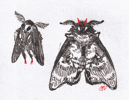 09 fabulous and sinister moths