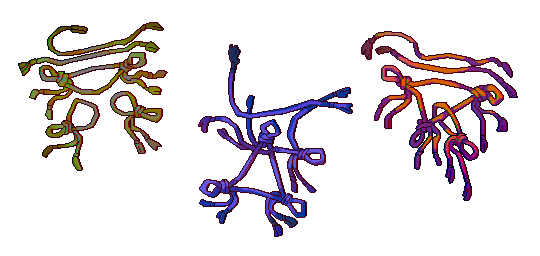 knots
